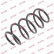 Coil Spring K-Flex RH3317 Kayaba