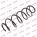 Coil Spring K-Flex RH3500 Kayaba