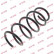 Coil Spring K-Flex RH3533 Kayaba