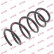 Coil Spring K-Flex RH3534 Kayaba