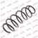 Coil Spring K-Flex RH3536 Kayaba