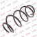 Coil Spring K-Flex RH3747 Kayaba