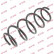 Coil Spring K-Flex RH3906 Kayaba
