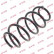 Coil Spring K-Flex RH3910 Kayaba