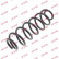 Coil Spring K-Flex RH5151 Kayaba