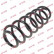 Coil Spring K-Flex RH5250 Kayaba