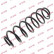Coil Spring K-Flex RH5514 Kayaba