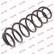 Coil Spring K-Flex RH5539 Kayaba