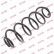 Coil Spring K-Flex RH5770 Kayaba