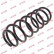 Coil Spring K-Flex RH6064 Kayaba