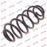 Coil Spring K-Flex RH6088 Kayaba