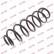 Coil Spring K-Flex RH6100 Kayaba