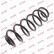 Coil Spring K-Flex RH6101 Kayaba