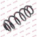 Coil Spring K-Flex RH6290 Kayaba
