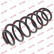 Coil Spring K-Flex RH6337 Kayaba