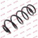 Coil Spring K-Flex RH6414 Kayaba