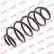 Coil Spring K-Flex RH6437 Kayaba