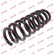 Coil Spring K-Flex RH6591 Kayaba