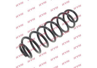 Coil Spring K-Flex RH6594 Kayaba