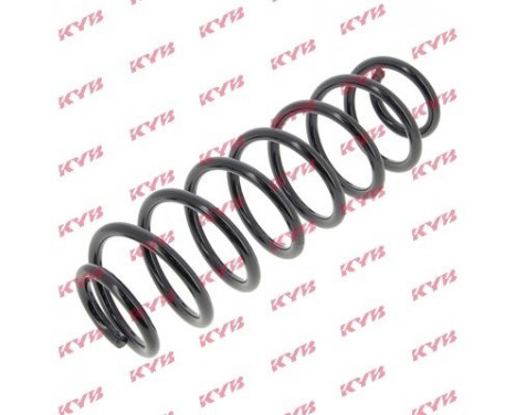 Coil Spring K-Flex RH6594 Kayaba