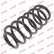 Coil Spring K-Flex RH6664 Kayaba