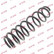 Coil Spring K-Flex RH6748 Kayaba