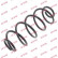 Coil Spring K-Flex RH6755 Kayaba