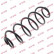 Coil Spring K-Flex RH6771 Kayaba