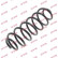 Coil Spring K-Flex RH7001 Kayaba