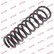 Coil Spring K-Flex RI1277 Kayaba