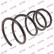 Coil Spring K-Flex RI1432 Kayaba