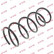 Coil Spring K-Flex RI1595 Kayaba