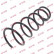Coil Spring K-Flex RI3786 Kayaba