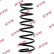 Coil Spring K-Flex RI5457 Kayaba, Thumbnail 2