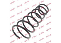Coil Spring K-Flex RI5469 Kayaba
