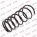 Coil Spring K-Flex RI6118 Kayaba