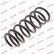 Coil Spring K-Flex RI6147 Kayaba
