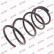 Coil Spring K-Flex RI6154 Kayaba