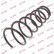 Coil Spring K-Flex RI6161 Kayaba