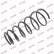 Coil Spring K-Flex RI6170 Kayaba