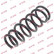 Coil Spring K-Flex RI6499 Kayaba