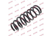 Coil Spring K-Flex RI6500 Kayaba