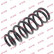 Coil Spring K-Flex RI6500 Kayaba
