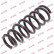 Coil Spring K-Flex RI6504 Kayaba