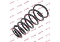 Coil Spring K-Flex RI6516 Kayaba