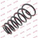 Coil Spring K-Flex RI6516 Kayaba