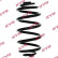Coil Spring K-Flex RJ5000 Kayaba