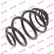 Coil Spring K-Flex RJ5030 Kayaba