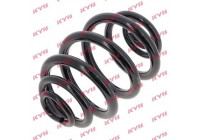 Coil Spring K-Flex RJ5256 Kayaba