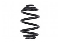 Coil Spring K-Flex RJ6189 Kayaba